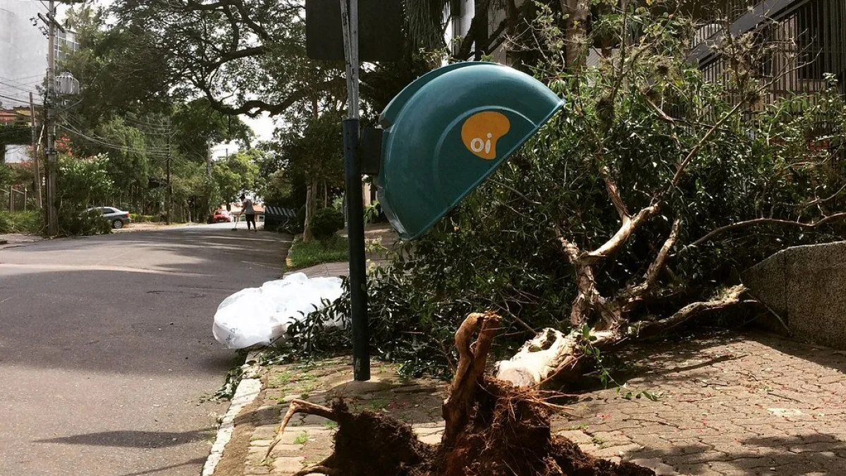 Árvore caída sobre poste em calçada após temporal