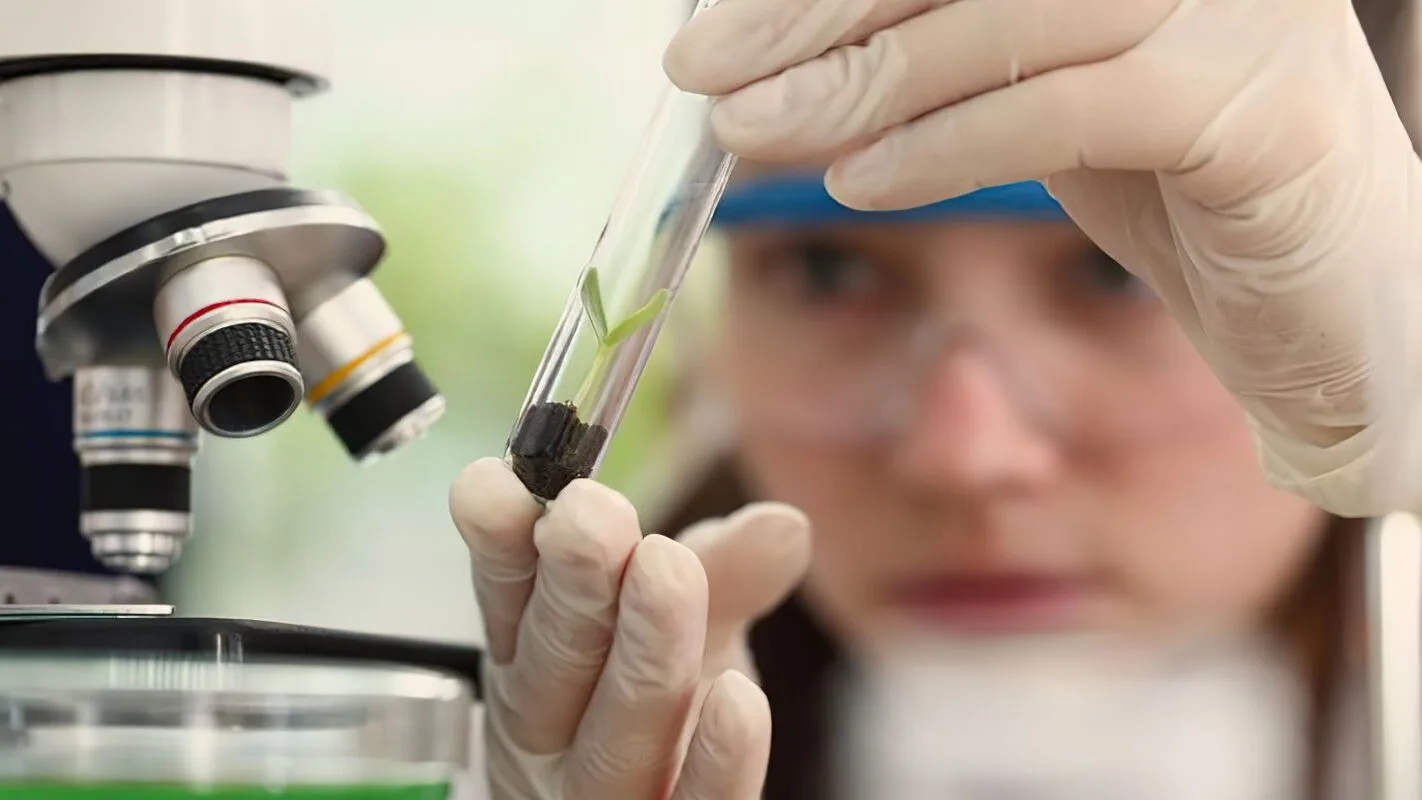 Cientista com luvas segura tubo de ensaio ao lado de um microscópio em laboratório