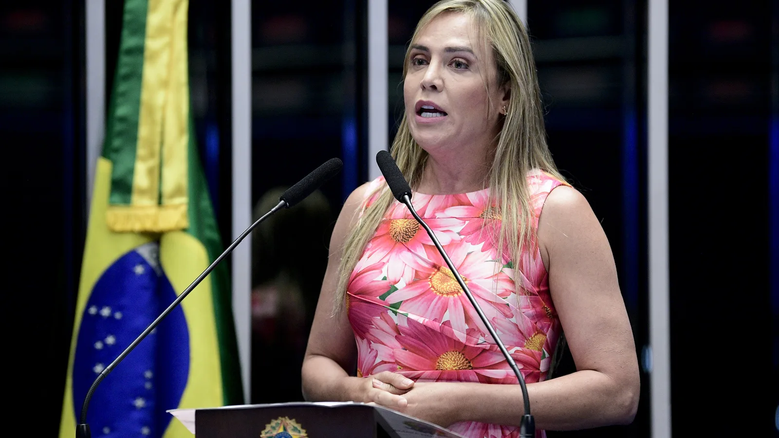 Celina Leão discursa em plenário com bandeira do Brasil ao fundo